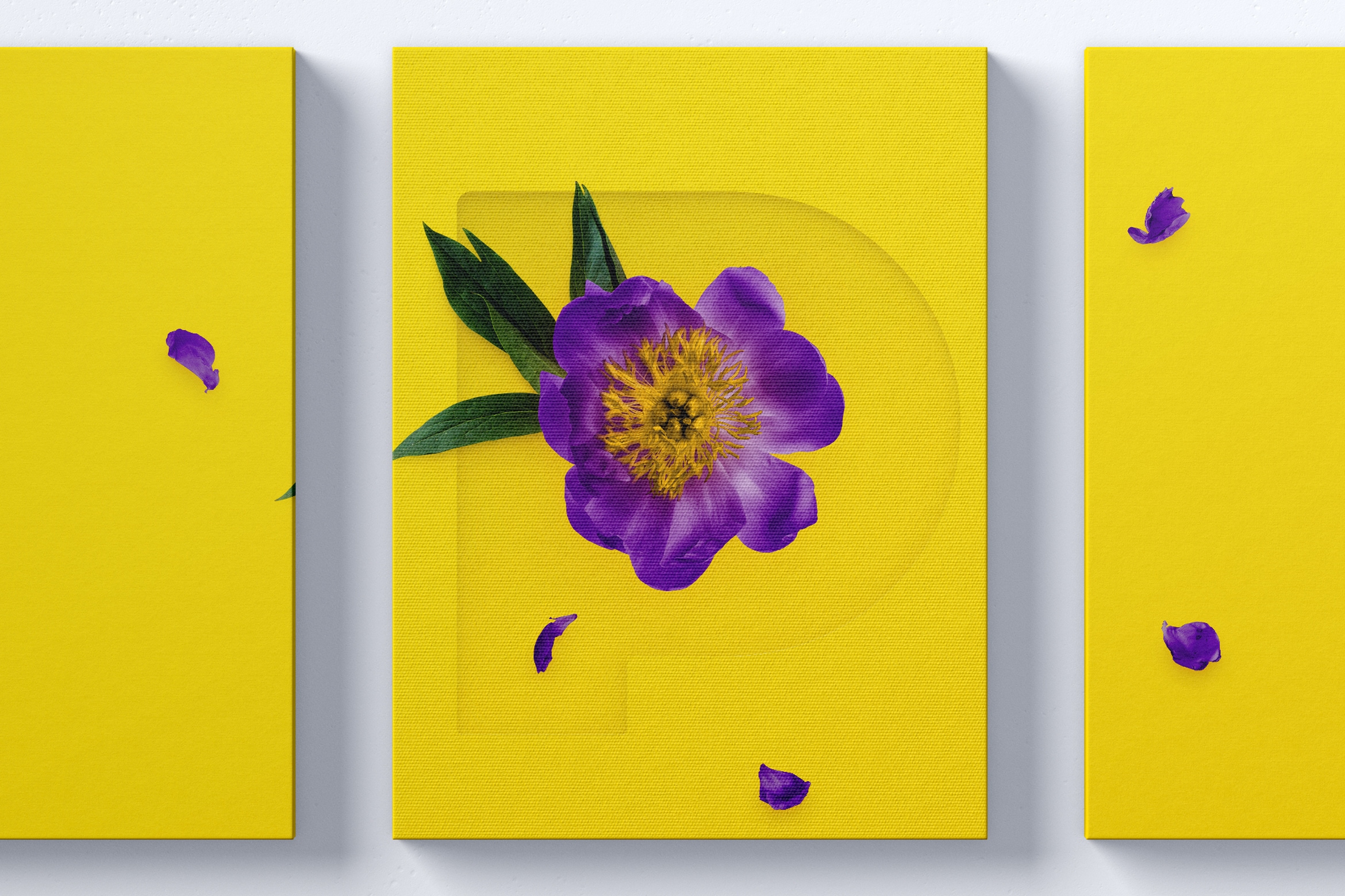 挂墙等距画布画框作品展览效果图前视图样机素材 Three 3:4 Portrait Canvas Mockup Hanging on Wall, Front View插图(1)