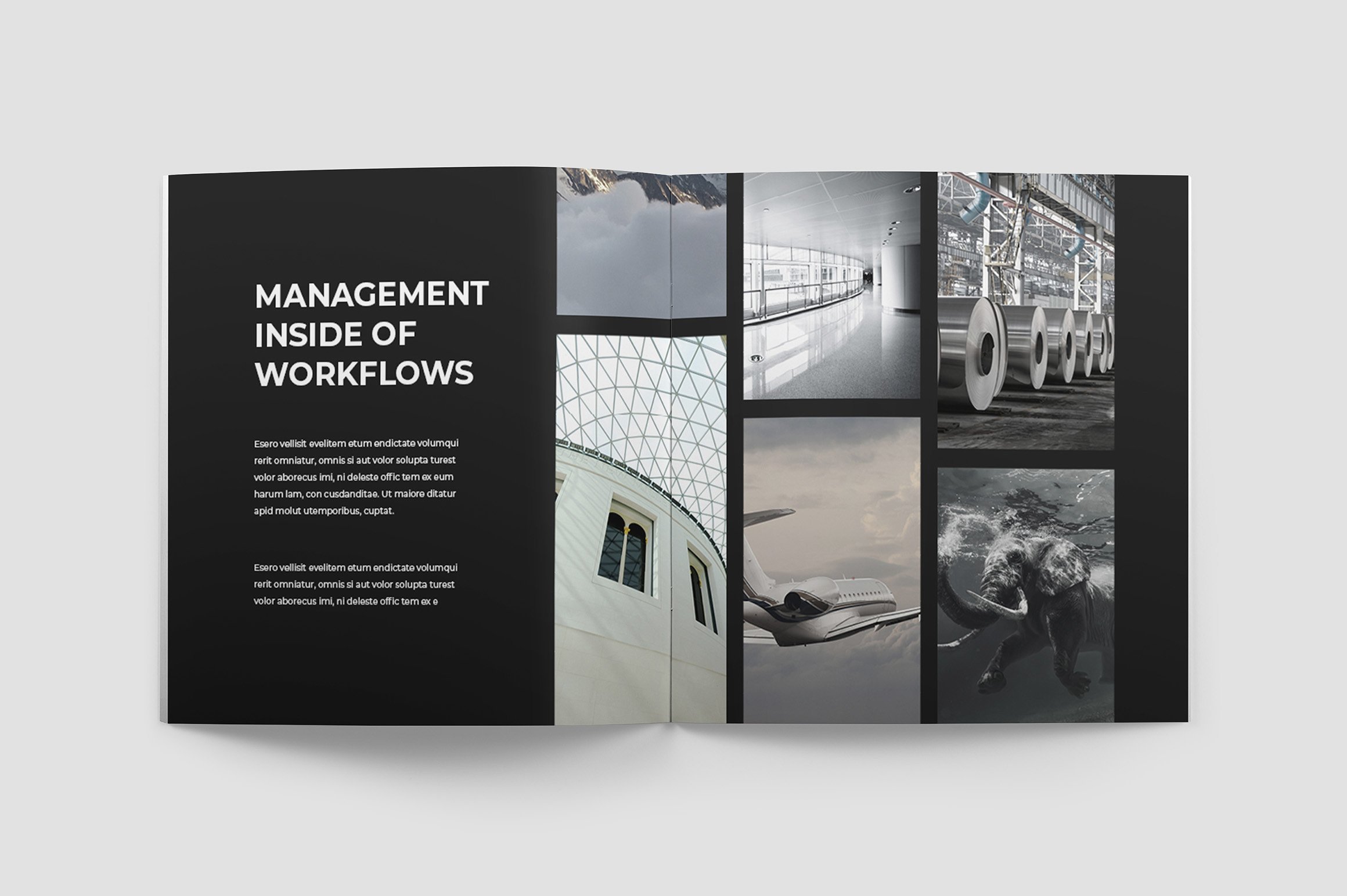 优雅时尚的纽约小册子插图(3)