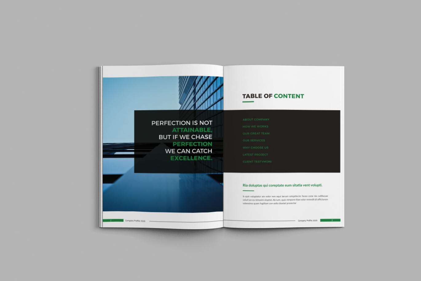 简约时尚多用途的高品质品牌手册房地产楼书画册时尚杂志设计模板（indd）插图