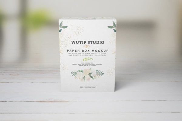 礼品纸盒包装样机Vol.2 PAPER BOX MOCKUP 02