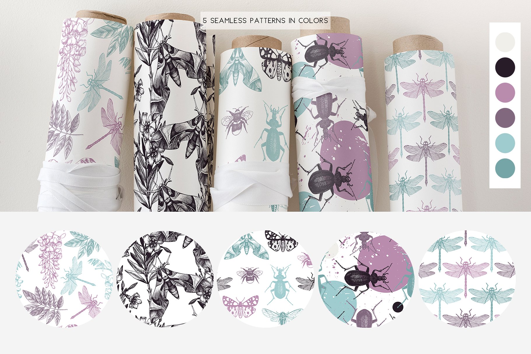 昆虫矢量插图集 Vector Insects Illustrations Set插图(9)