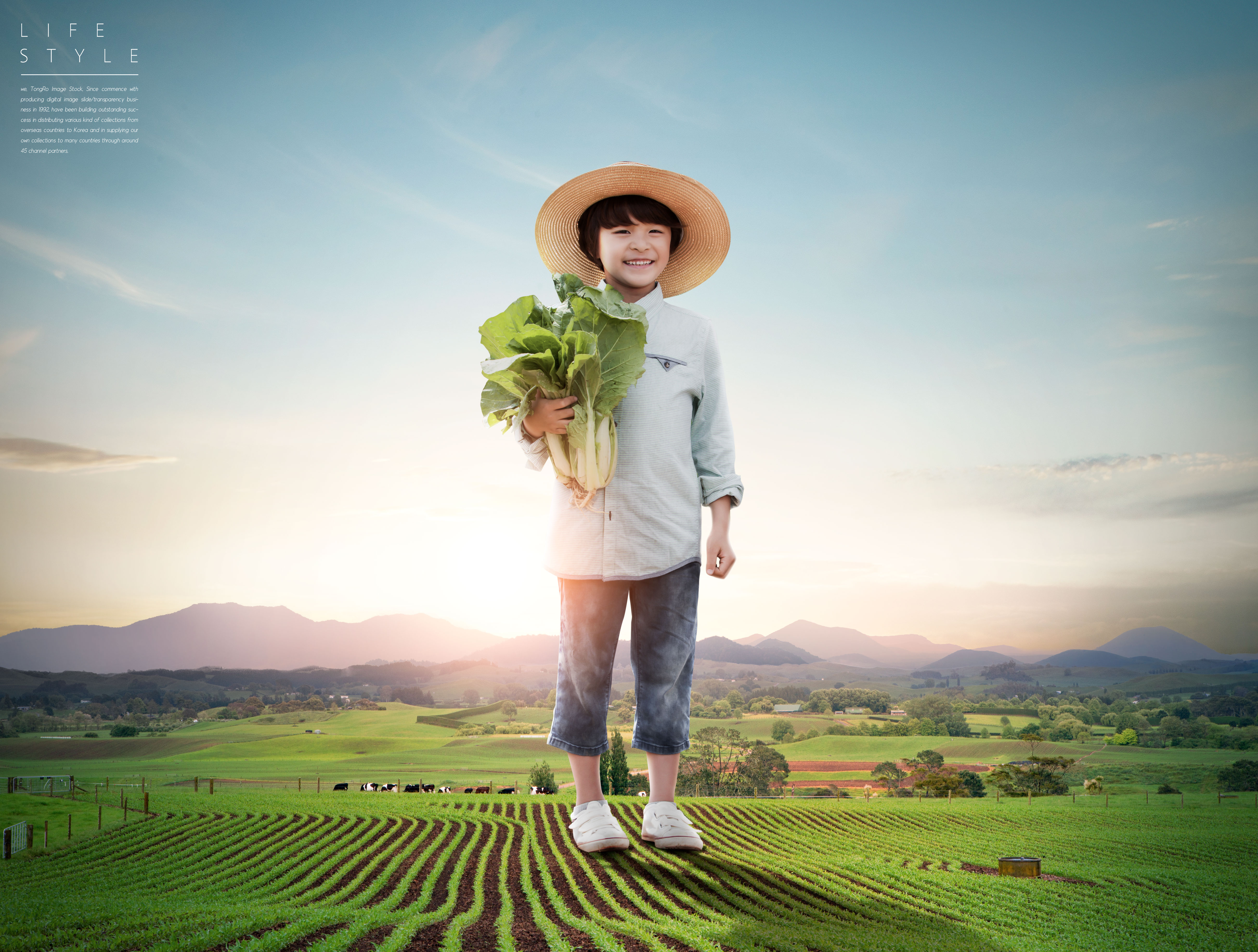 悠闲自在的农场生活主题海报设计套装V.2插图(5)