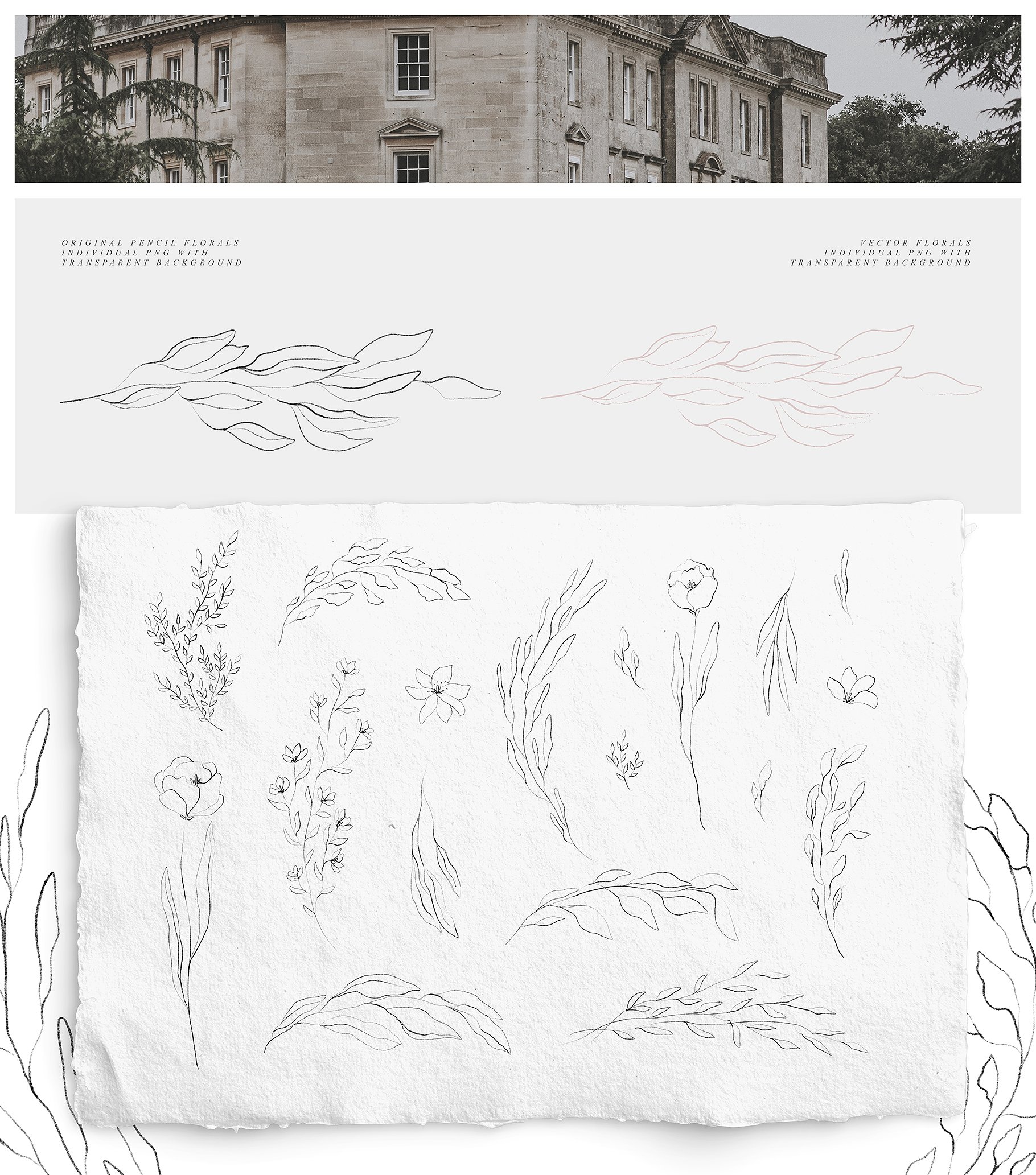 优雅水墨植物花卉元素水彩剪贴画合集 Night Time Collection插图(4)