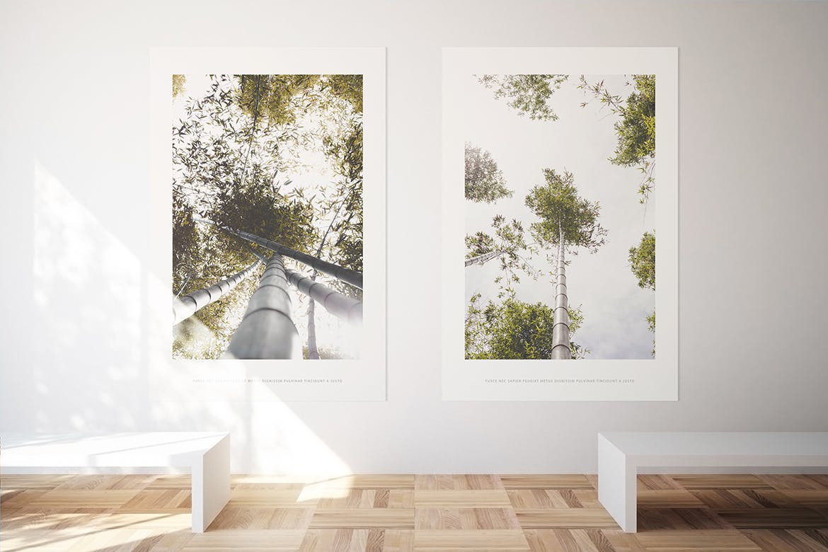 居家大厅大幅画框相框样机素材库精选模板 Poster Mockup插图(1)