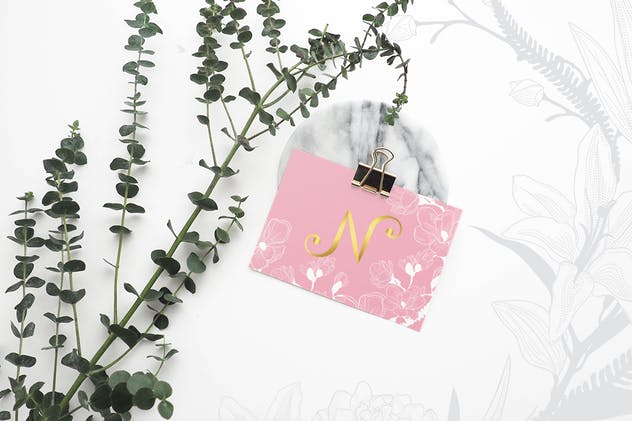 精致花卉矢量插画设计素材系列 Delicate Blossom Collection插图(5)