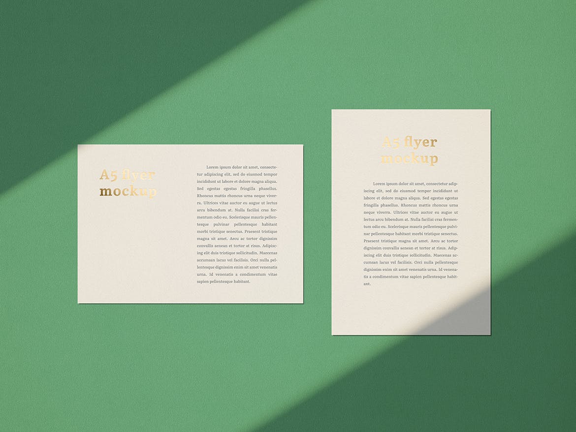 品牌VI设计系统办公用品印刷品套件样机 Stationary Mockup — Set 1插图(13)