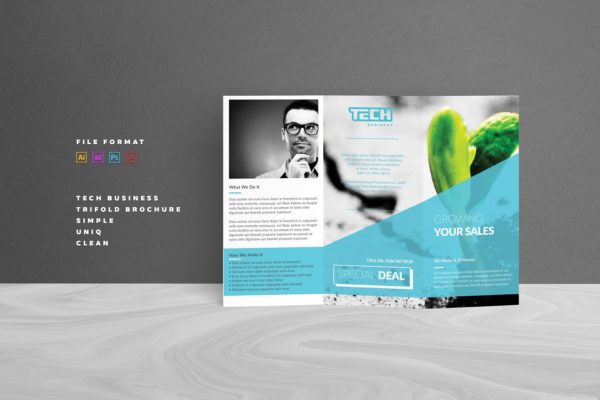 经典三折页传单设计模板 Trifold Brochure