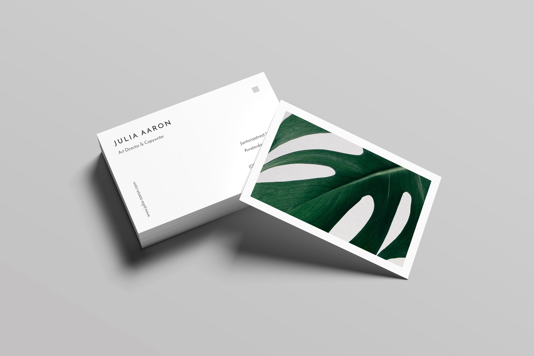 优雅简约风高端企业名片设计模板 Aaron Business Card Template插图(1)