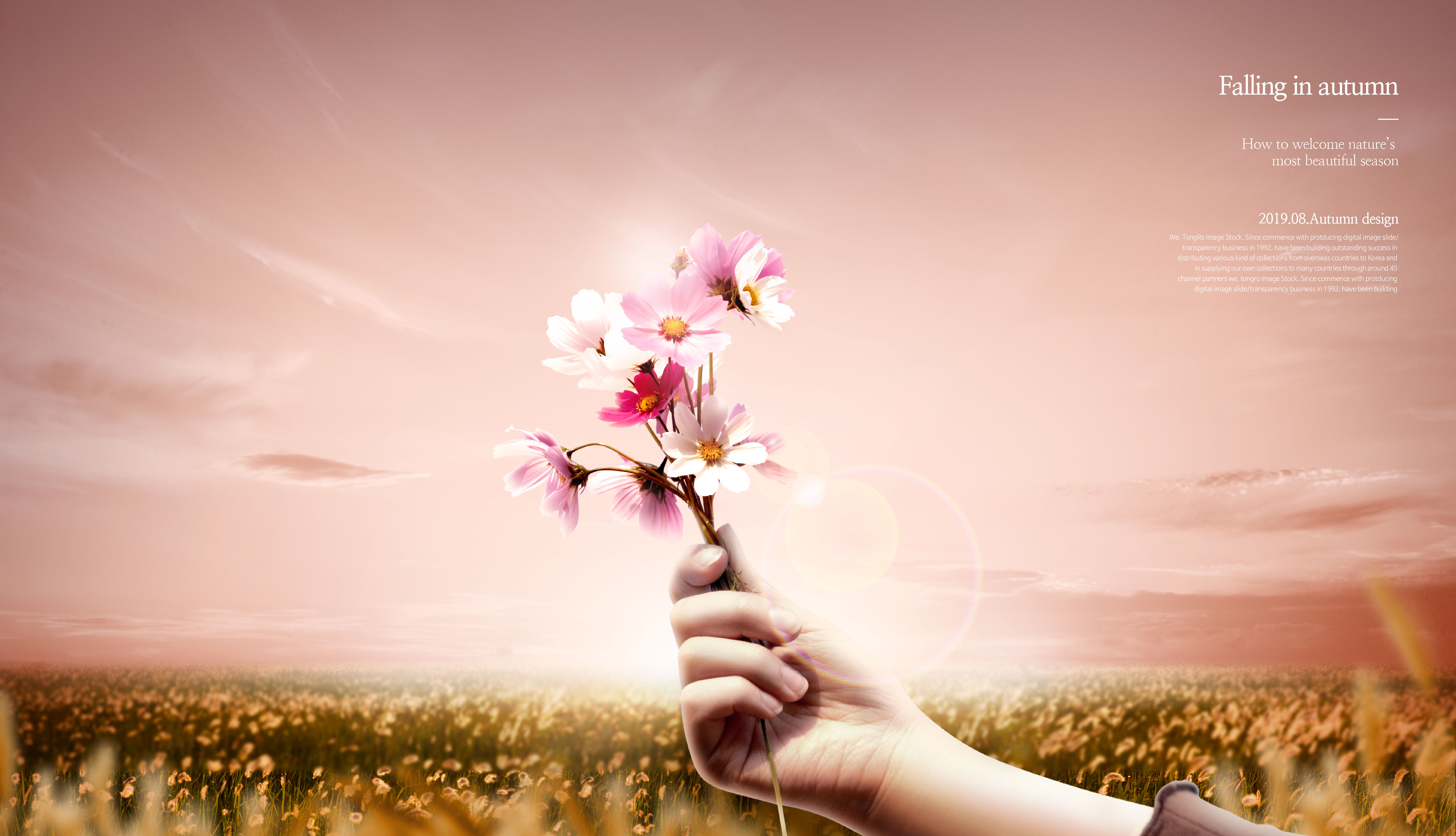 唯美秋天季节海报图片psd素材合集插图(1)