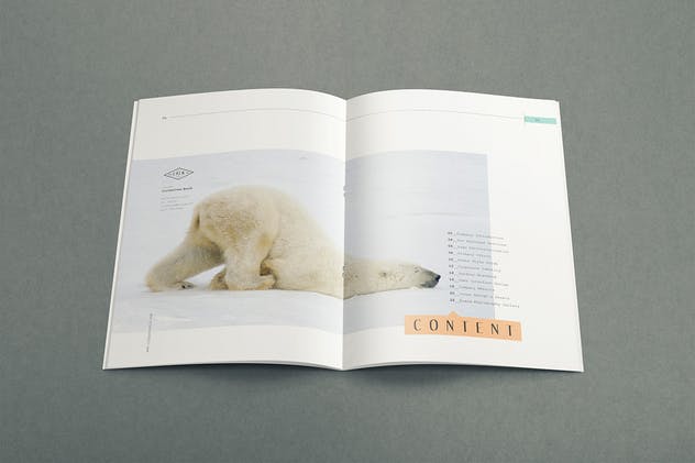 传统艺术品牌指南手册模板 Traditional Art – Brand Guideline Template插图(2)