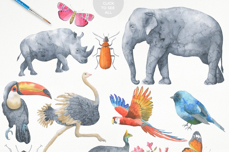 冒险之旅水彩素材合集（飞禽走兽、昆虫元素、纹理&额外的字体） Safari Watercolor Collection Pro插图(1)