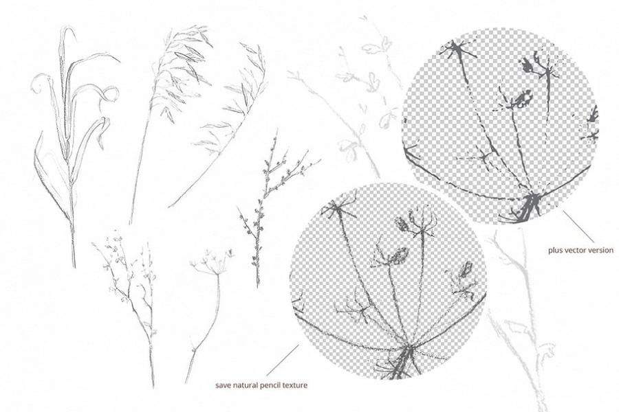 复古风格摄影水彩插画套装插图(16)