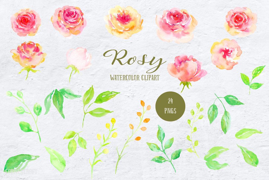 水彩手绘腮红粉装饰花卉元素 Watercolor Design Kit Rosy插图(1)