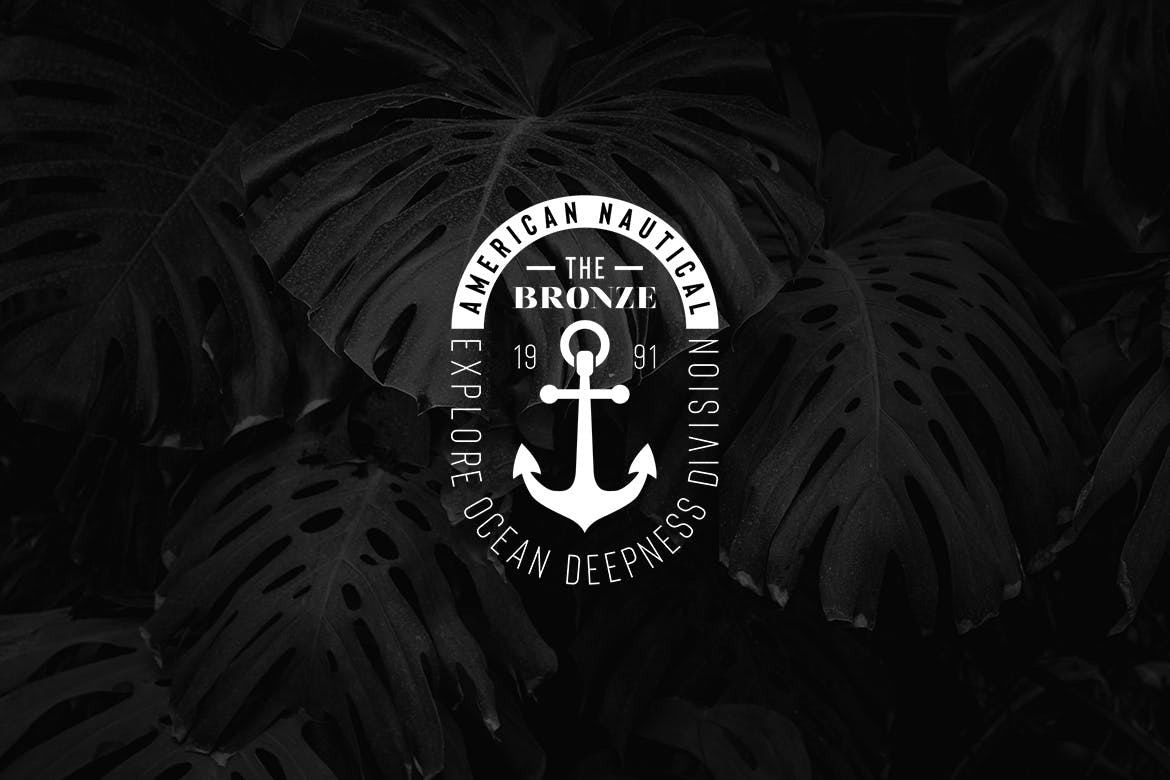 欧美复古设计风格品牌素材库精选LOGO商标模板v40 Vintage Logo & Badge Vol. 40插图(2)