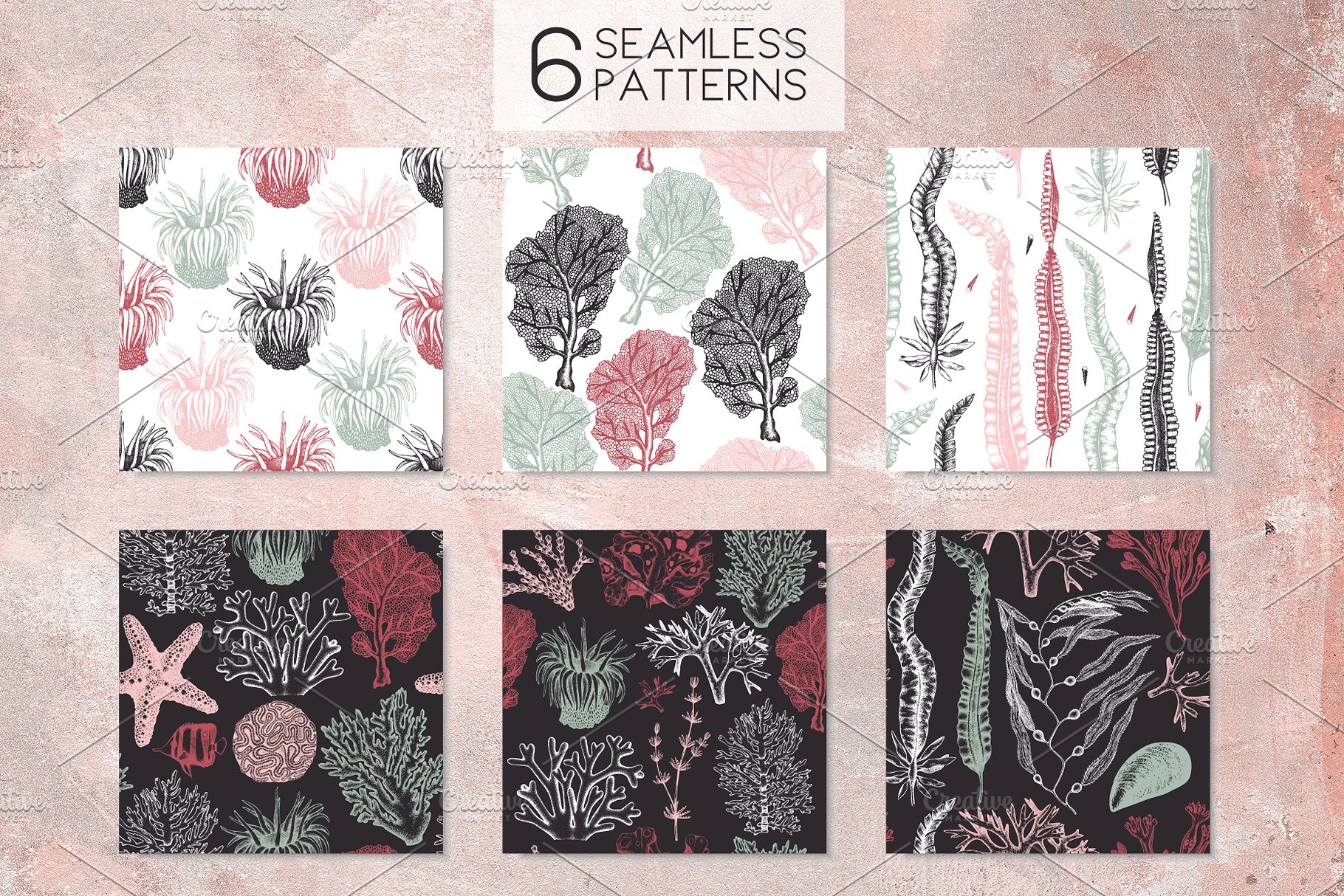 海藻珊瑚矢量插画合集 Vector Seaweeds & Corals Set插图(8)