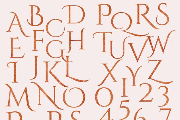 美丽盛开金色花卉字母数字图集 Blooming Gold Floral Letters Numbers插图(13)