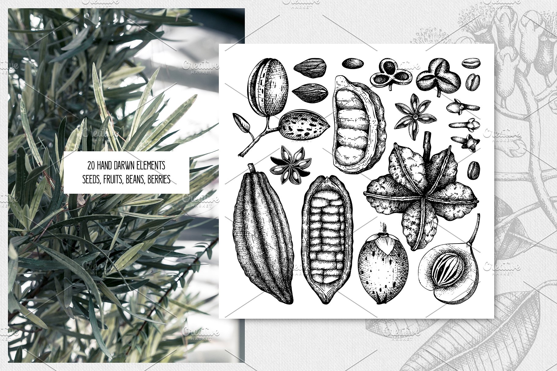 滋补辛辣植物素描矢量图形 Tonic & Spicy Plants Sketch Set插图(9)