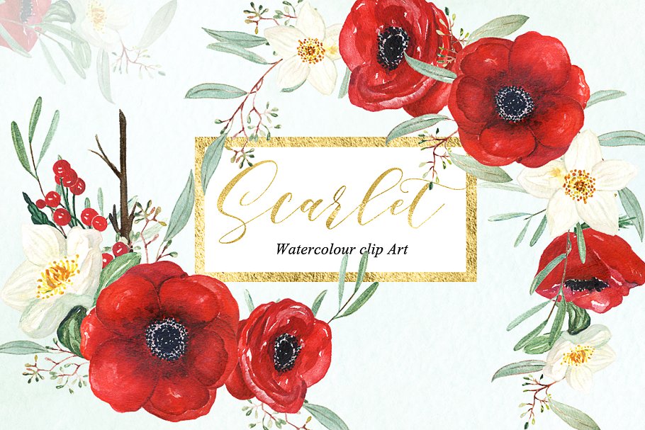 银莲花水彩剪贴画 Anemones scarlet Watercolour clipart插图(1)