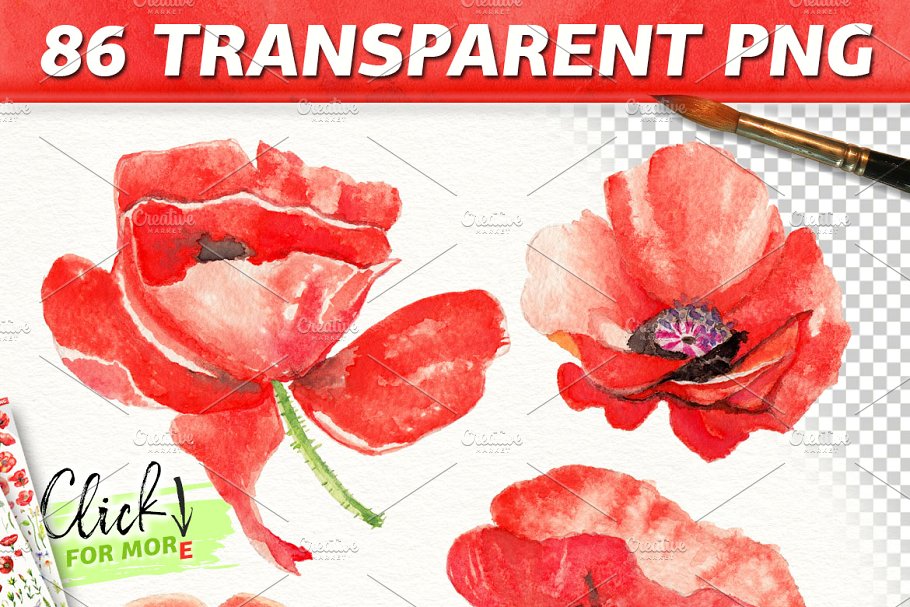 100%罂粟花水彩纹理剪贴画集合 Watercolor DIY Poppy Pack插图(1)