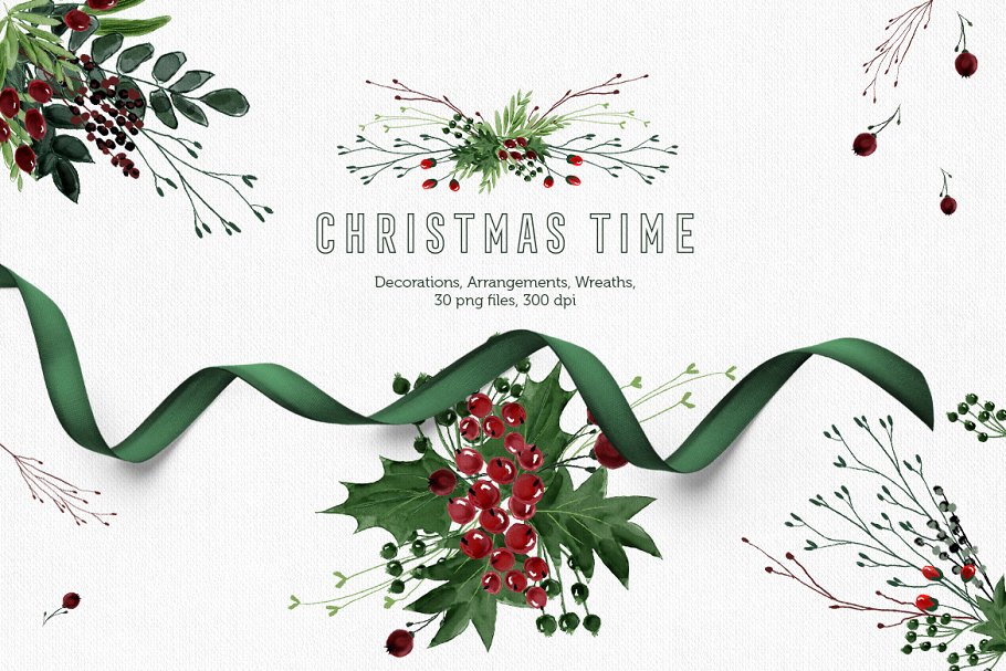 圣诞节主题手绘花卉素材集 Christmas Time Collection插图