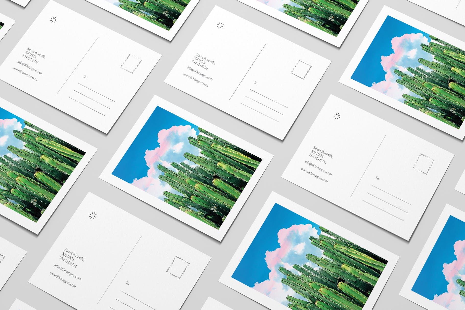 夏日仙人掌水彩艺术办公文具设计套装 Cactus Summer Art & Stationary Kit插图(2)