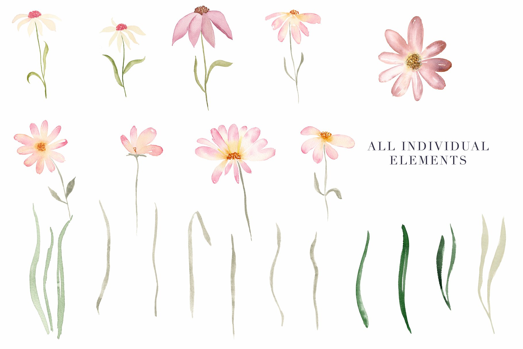 独立手绘花卉树叶图像 Daisy Belle – Watercolor Flowers插图(4)