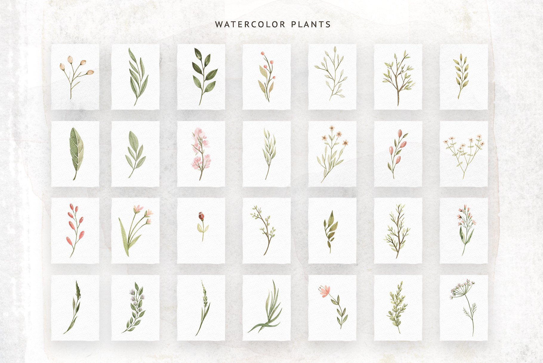 森林动物宝宝水彩插画v2 Watercolor Forest Baby Vol.2插图(3)