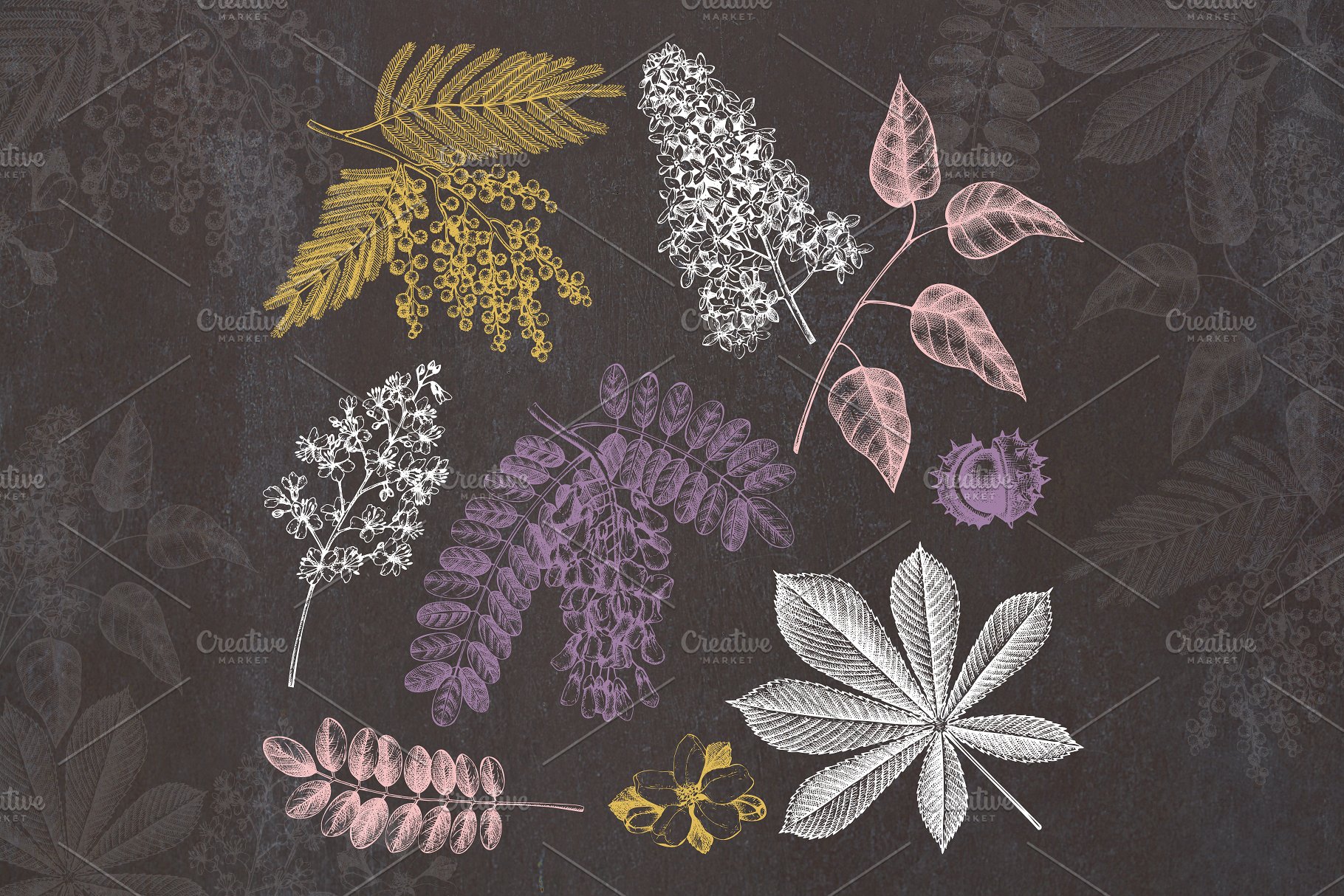 春季树木矢量插画素材 Vector Spring Trees Collection插图(1)