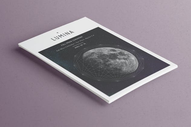 现代朴素设计风格多用途传单设计模板 LUMINA Flyer Template插图(11)