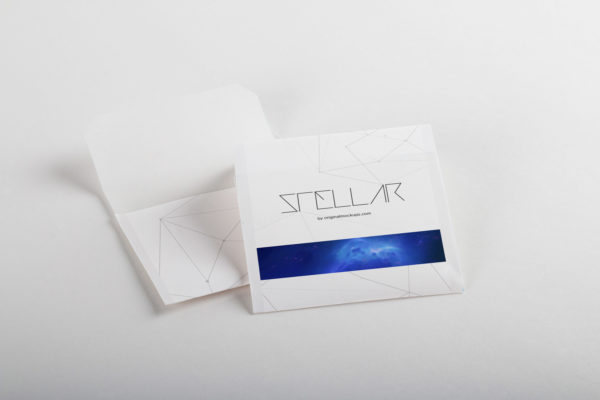 茶包茶叶包装设计效果图样机模板01 Tea Bags Mockup 01