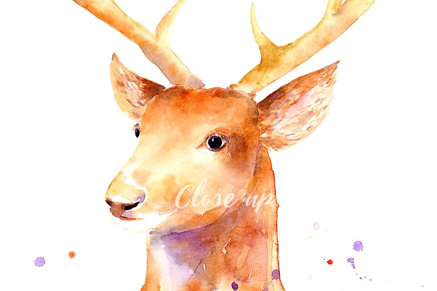 圣诞节驯鹿手绘水彩剪贴画 Christmas Reindeer Clipart插图(2)