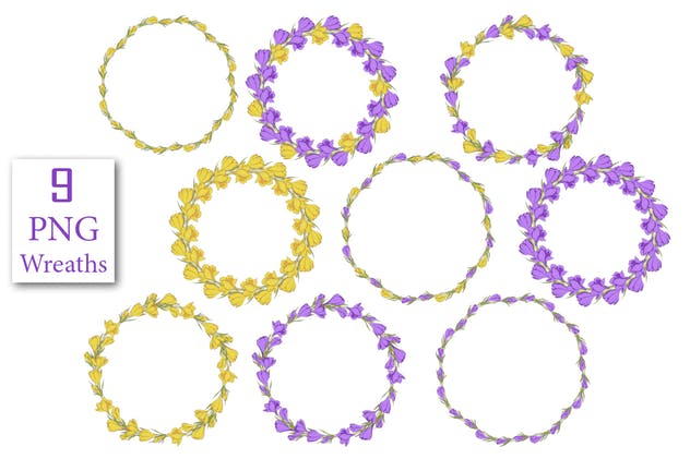 春天藏红花水彩插画设计素材 Crocus. Spring Flowers collection插图(4)