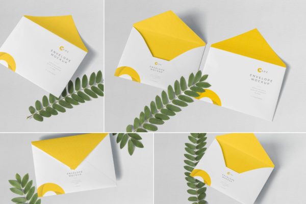 C5尺寸规格企业信封设计图样机素材库精选PSD模板 C5 Envelope Mockups