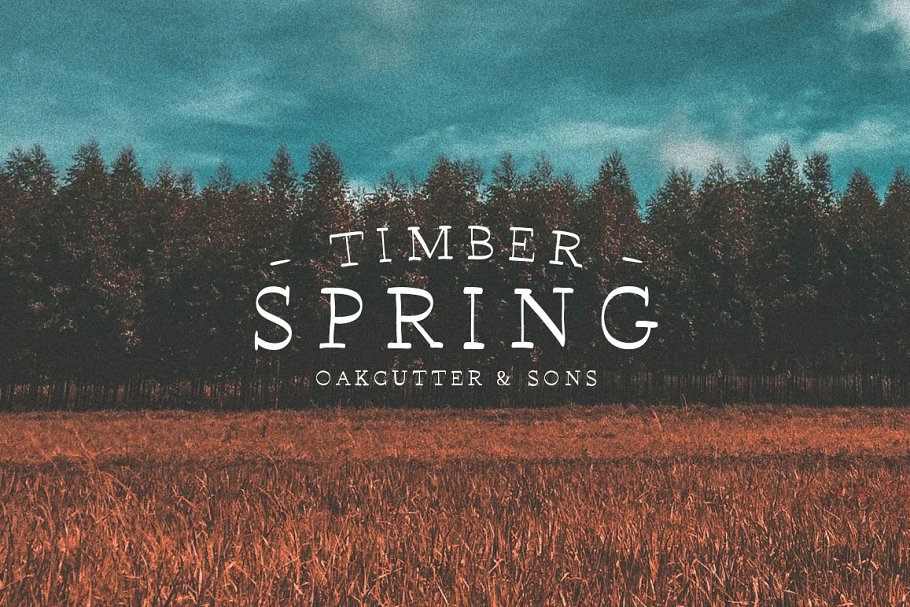 13款手写英文字体合集&Logo模板、矢量插画 Wonderland Fonts Pack & Branding Kit插图(113)