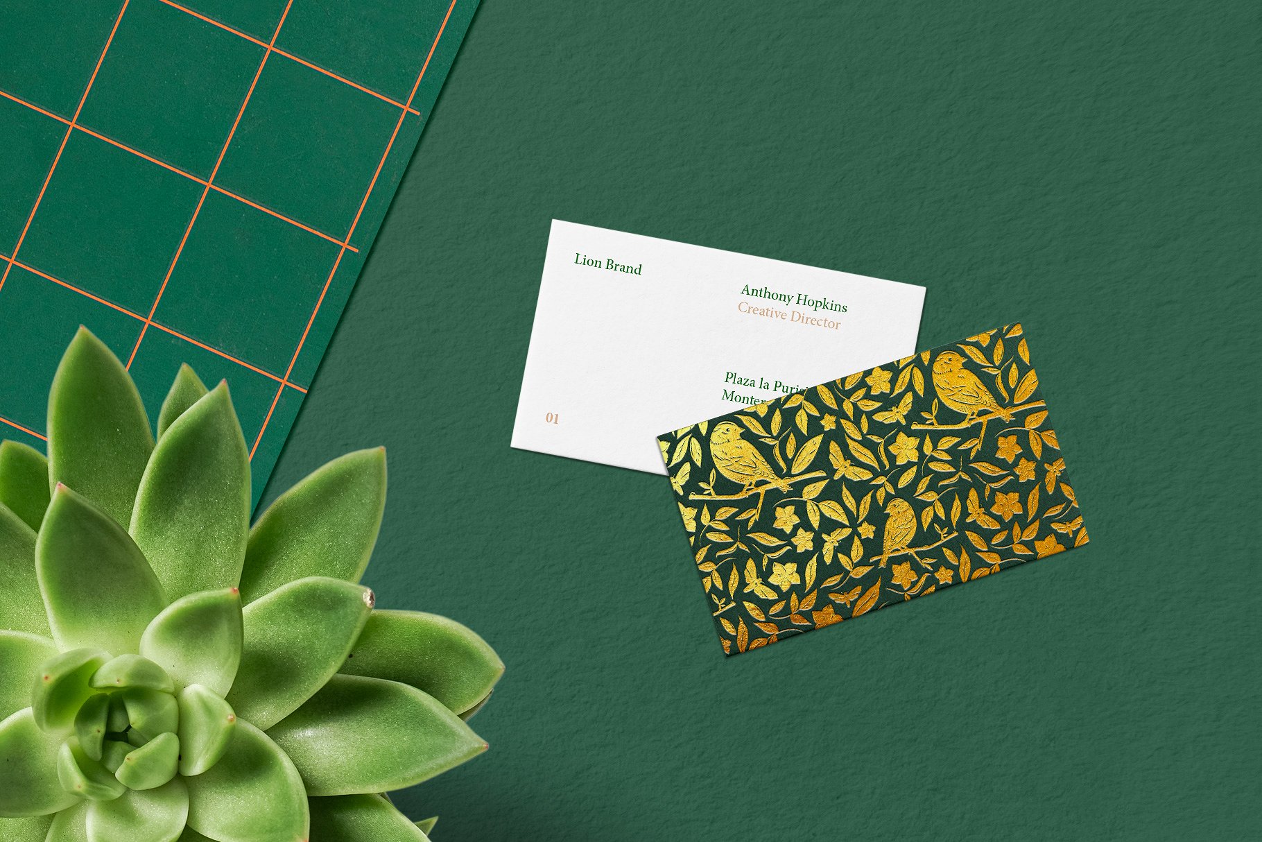 鸟类和花朵矢量图形套装 Birds & Blooms Graphics Kit插图(5)