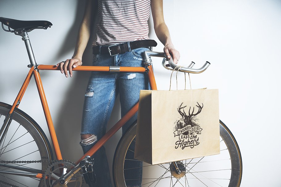 纸质购物袋样机模板 Shopping bag set插图