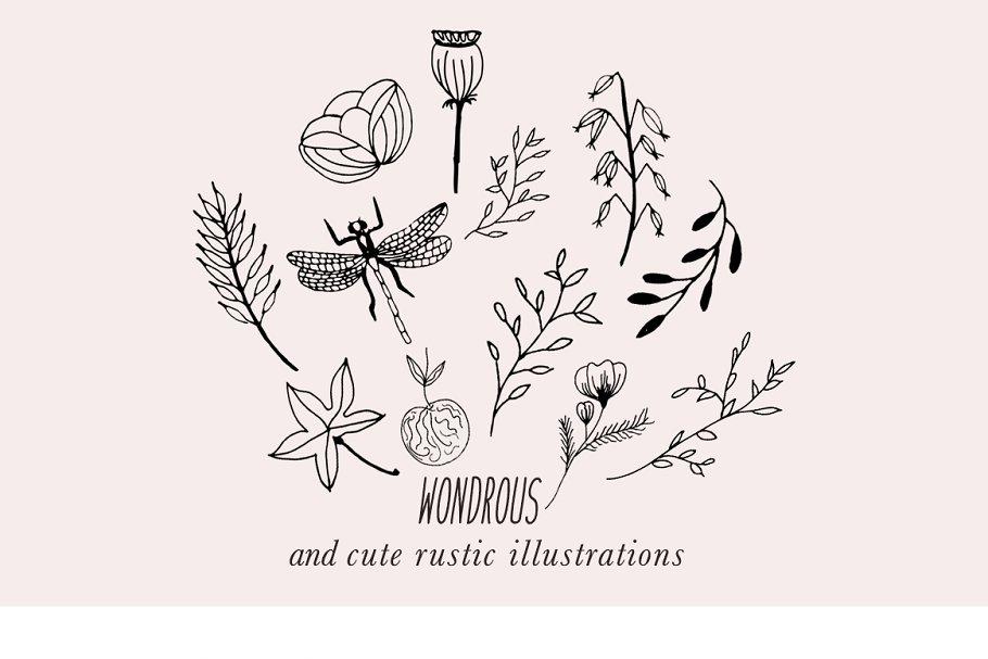 优雅有格调的充满大自然气息的插画与纹理 Rustic Chic Patterns & Illustrations插图(3)