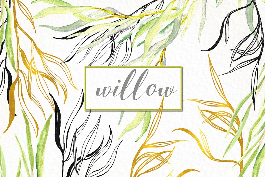 柳枝水彩剪贴画 Willow branches watercolor clipart插图(4)