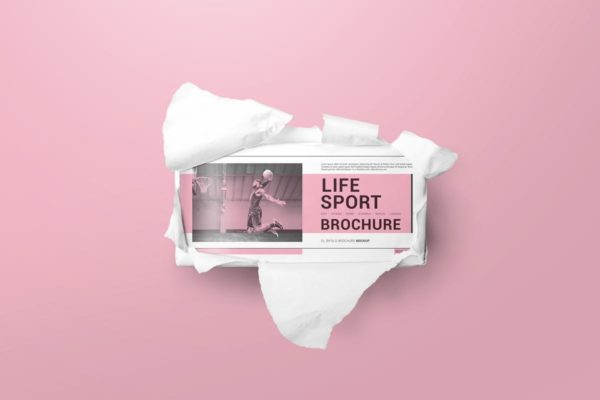 双折页DL宣传册样机模板 DL Bifold Brochure Mockups