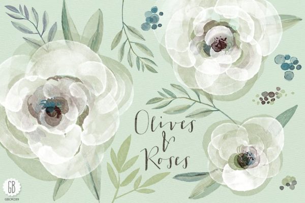 水彩白玫瑰和橄榄枝矢量图形 Watercolor white roses and olive