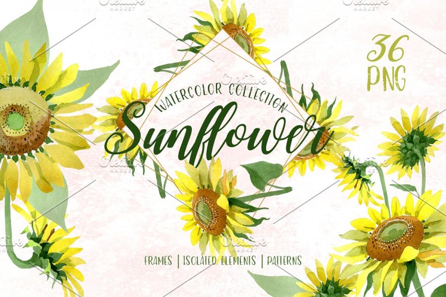 向日葵黄色水彩元素插画合集插图