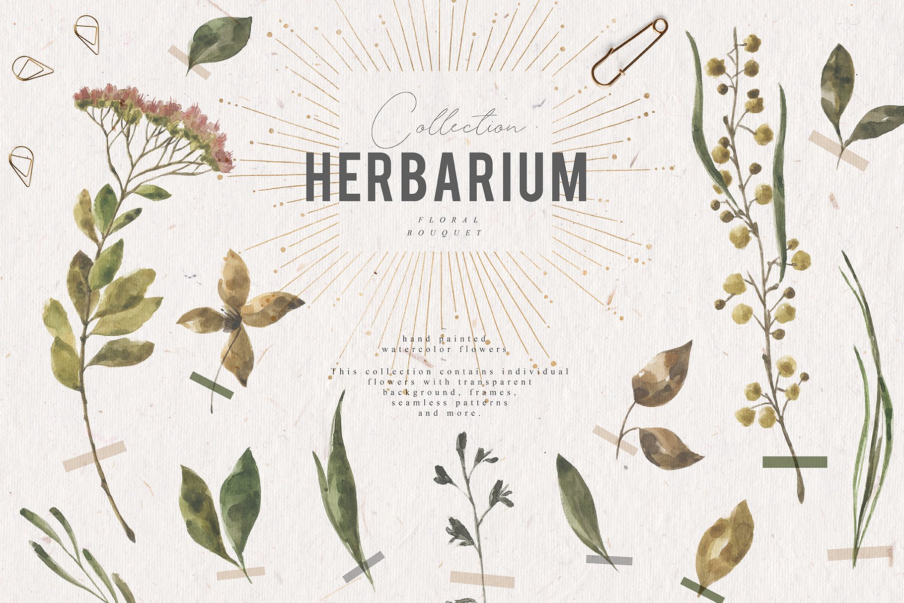 herbarium-first-image2-