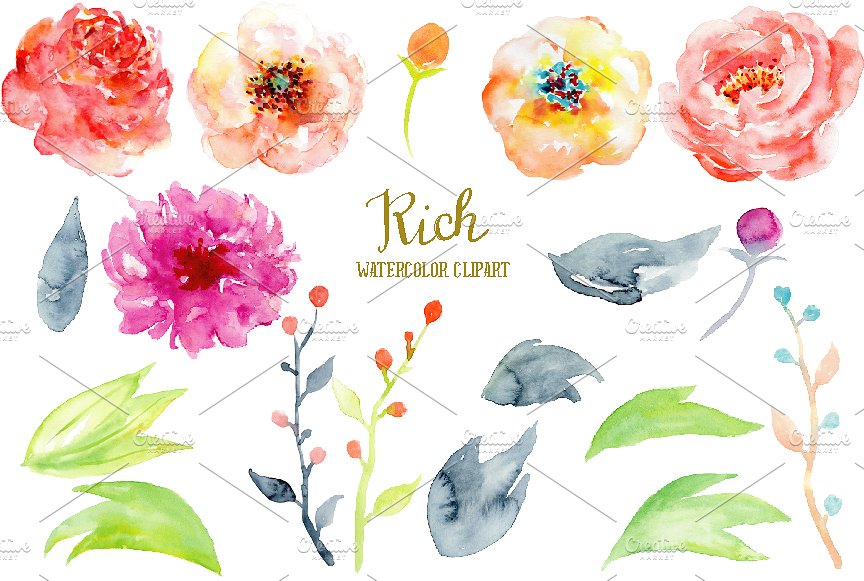 抽象彩色牡丹装饰元素水彩素材 Watercolor Peony Clipart Rich插图(2)