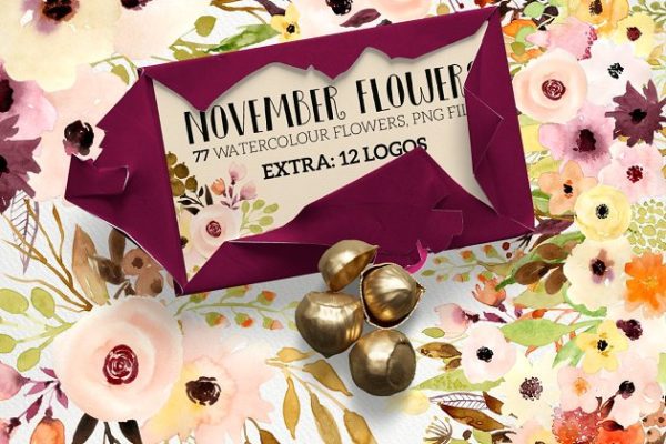 水彩花卉设计素材+12个花卉Logo模板 November Flowers