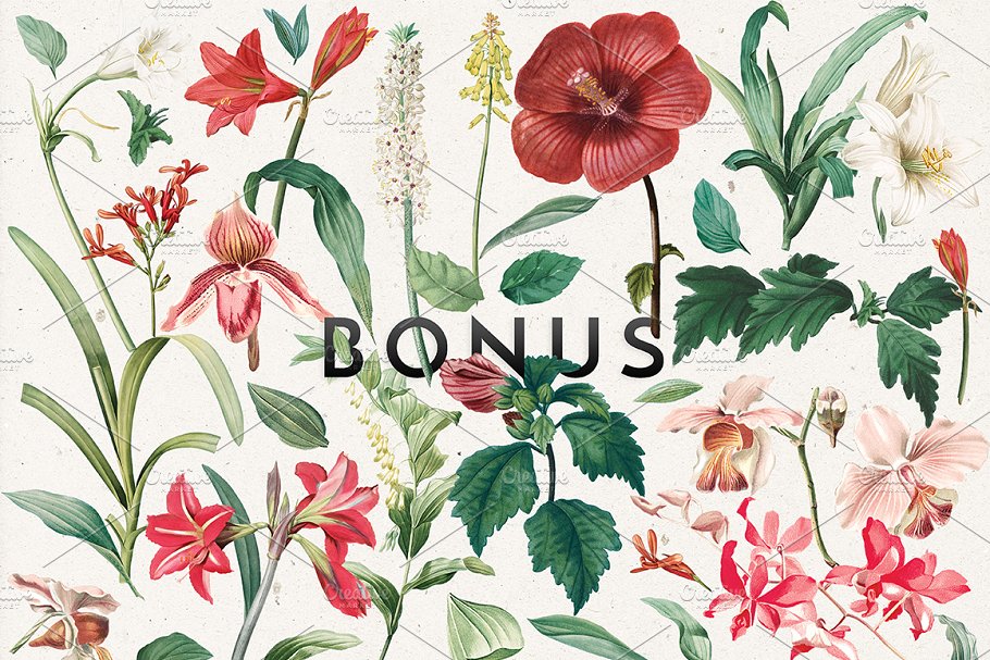 现代古典花卉婚礼设计物料模板 Modern Vintage Floral Wedding Suite插图(6)