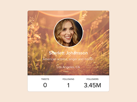 个人信息小部件素材之家精选sketch素材