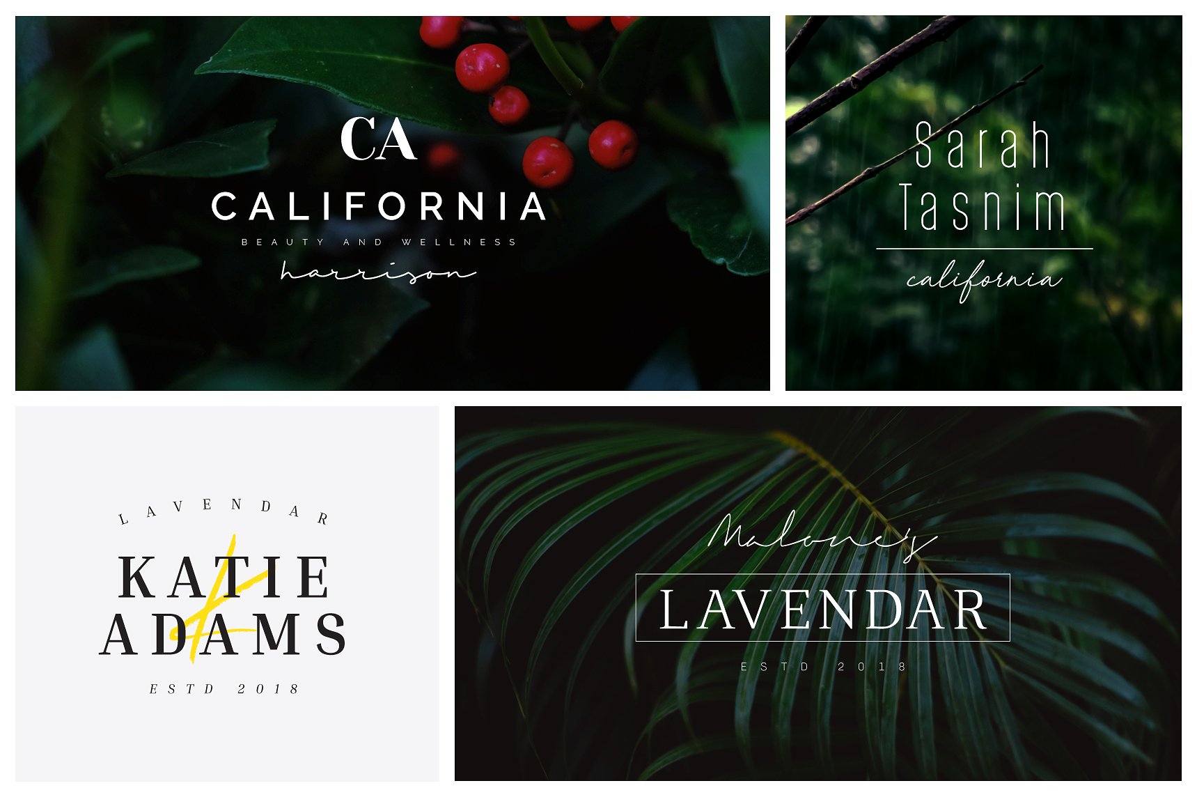 时尚简约的预制标志LOGO模板插图(1)