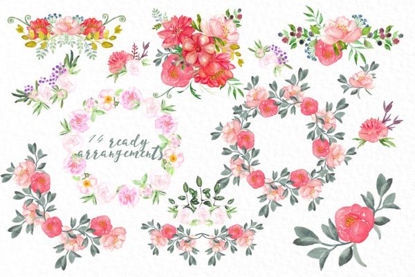 牡丹水彩花卉剪贴画 Peonies big collection clip art.