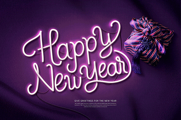 高端时尚的猪年（己亥年）海报模板PSD