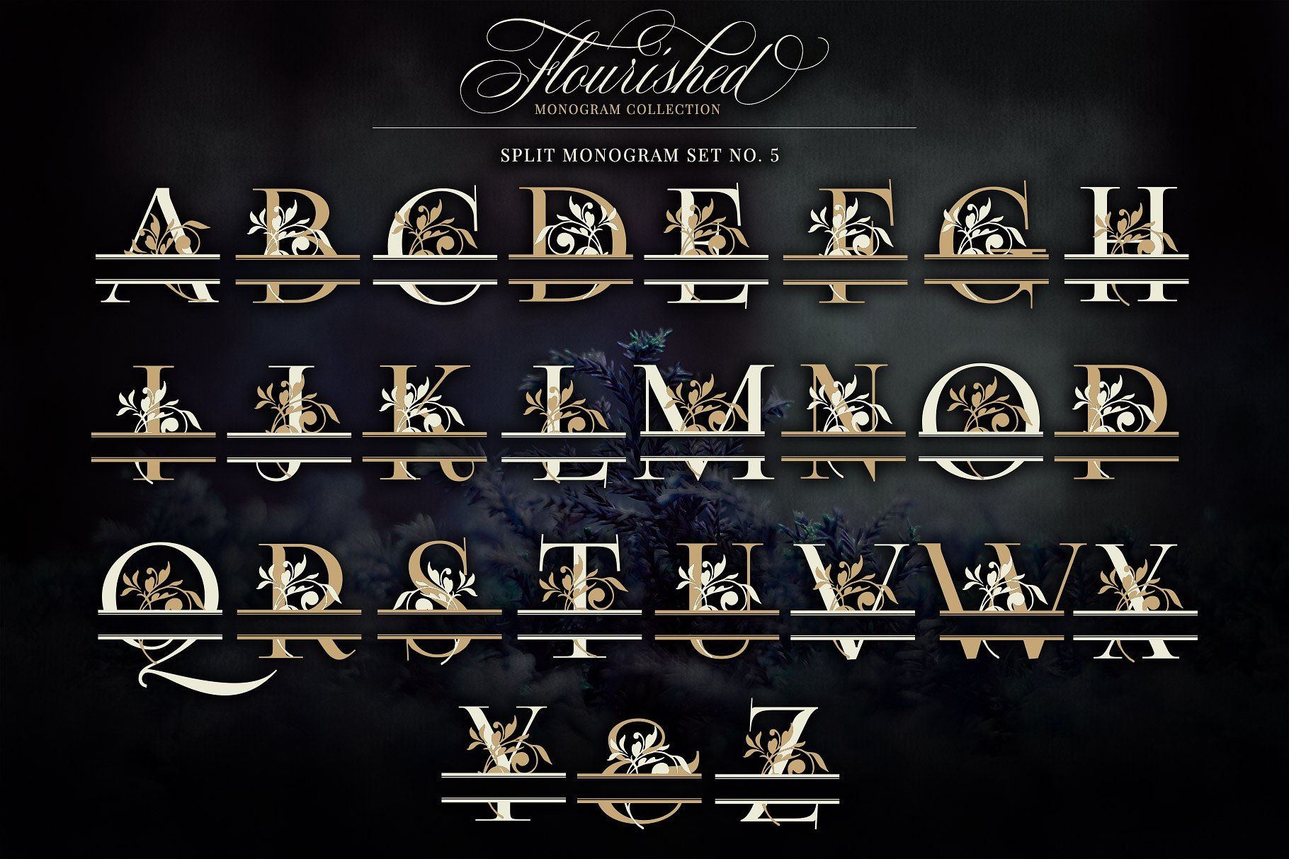 优雅手绘花卉装饰字母矢量素材 Flourished Monogram Collection插图(11)